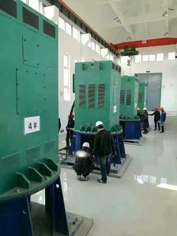 福州某污水处理厂使用我厂的立式高压电机安装现场